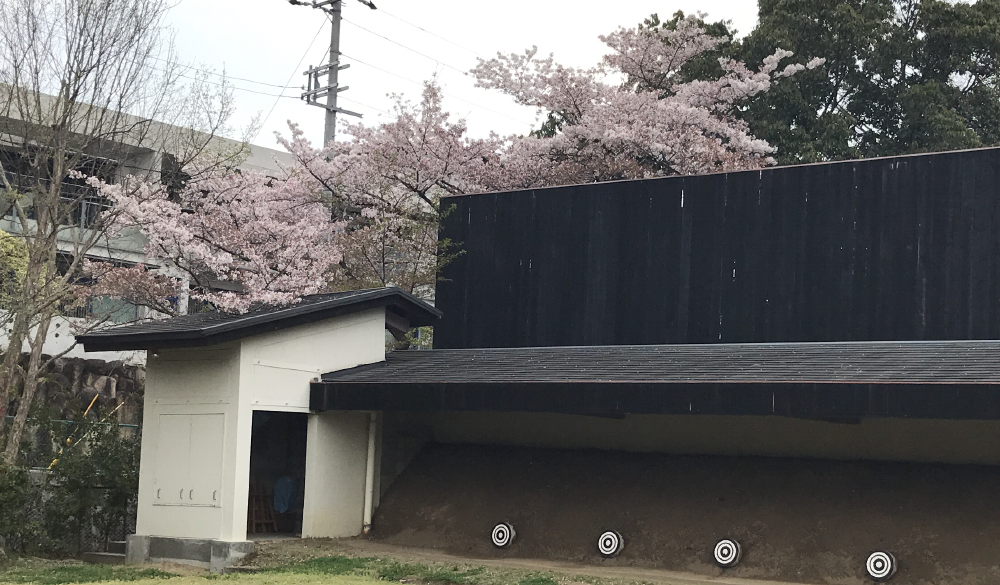 20170415_sakuraS